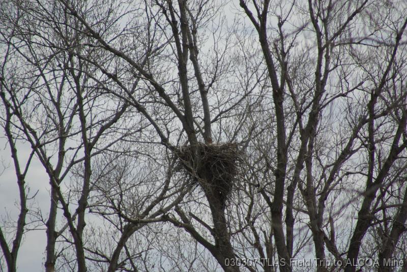 Eagle Nest 